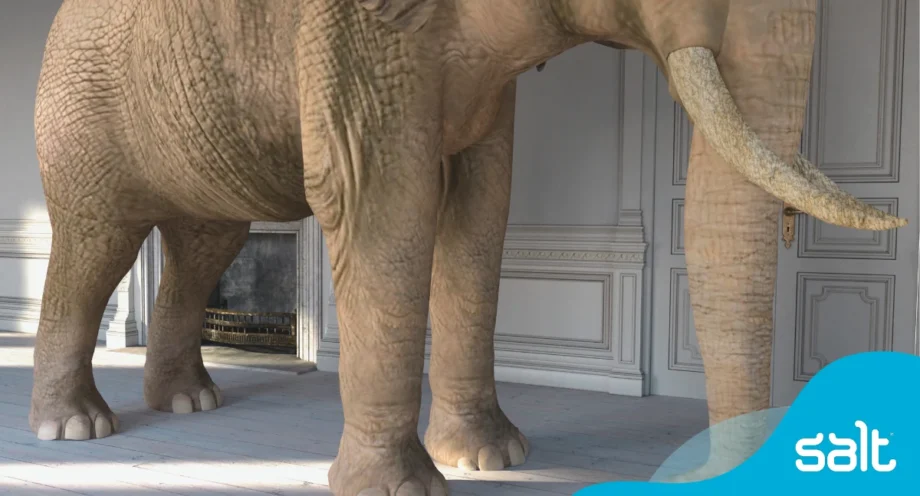 Elephant in a room